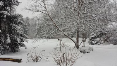 20150201_171937.jpg