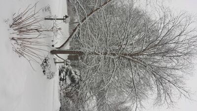 20150201_171958.jpg