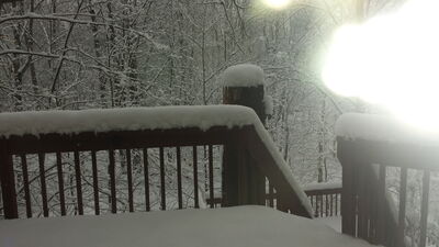 20150202_100314.jpg