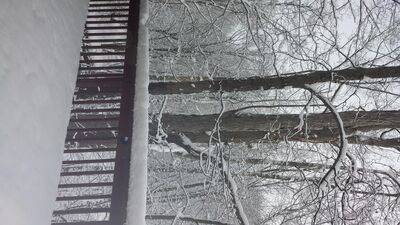 20150202_100355.jpg