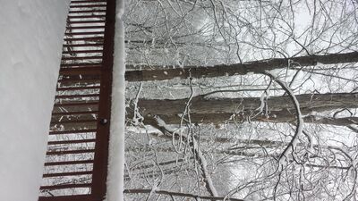 20150202_100412.jpg
