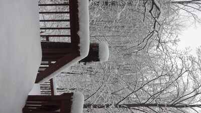 20150202_100423.jpg