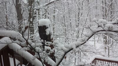 20150202_120656.jpg