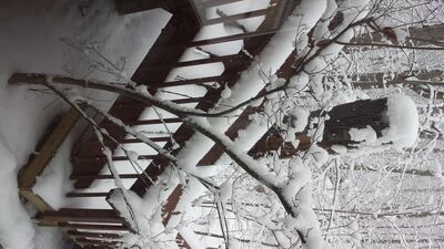 20150202_120713.jpg