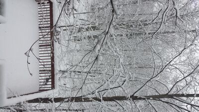 20150202_120805.jpg