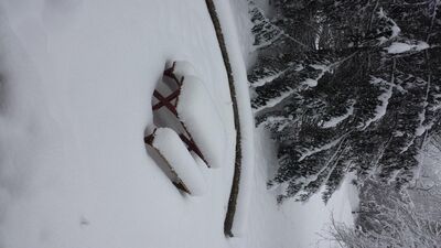 20150202_120904.jpg