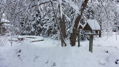 20150202_130344.jpg