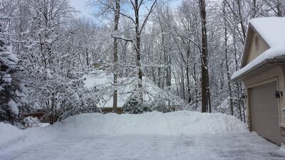 20150202_130353.jpg