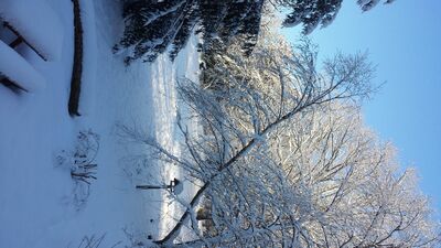 20150203_084520.jpg