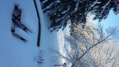 20150203_084603.jpg