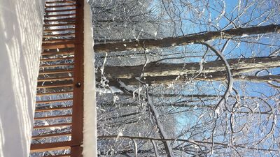 20150203_091610.jpg