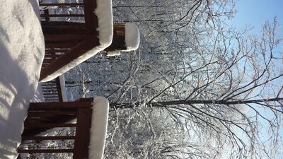20150203_091629.jpg