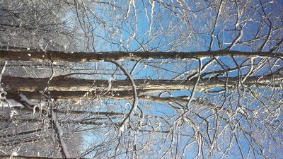 20150203_091640.jpg