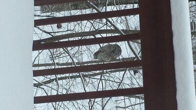 20150219_074546.jpg