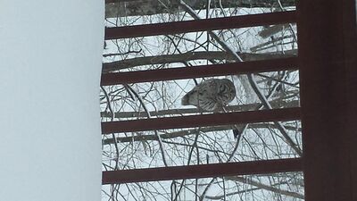 20150219_074634.jpg