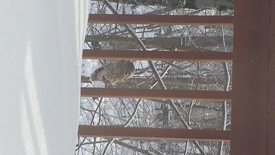 20150219_085803.jpg