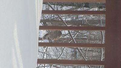 20150219_085806.jpg