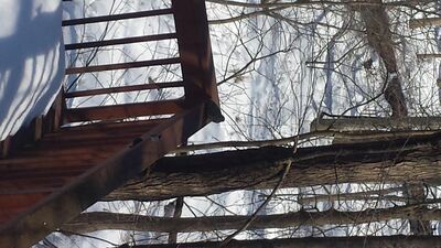 20150308_143537.jpg