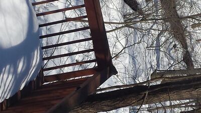 20150308_143933.jpg