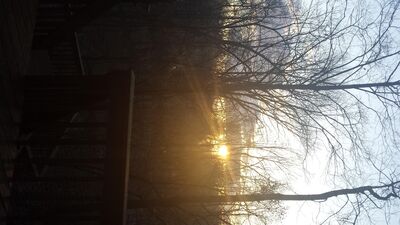 20160202_080145.jpg