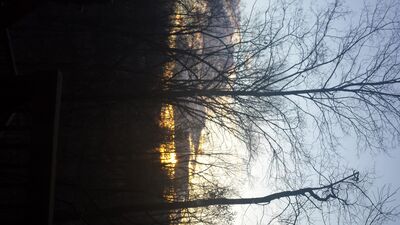20160202_080216.jpg