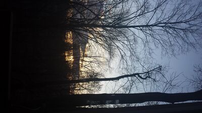 20160202_080224.jpg