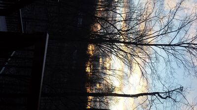 20160205_075901.jpg