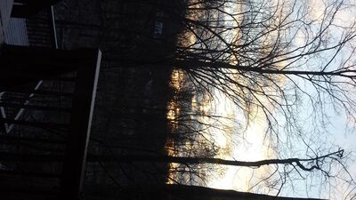 20160205_075916.jpg