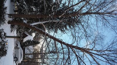 20160210_172952.jpg