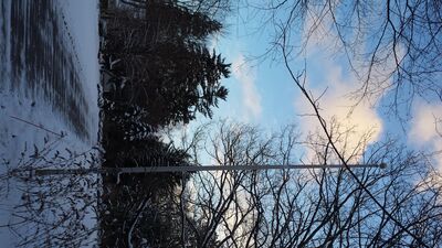 20160210_172959.jpg