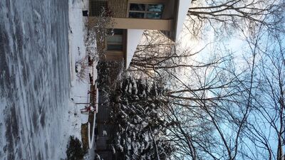 20160210_173013.jpg