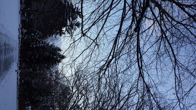 20160210_175006.jpg