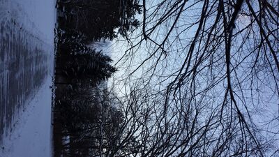 20160210_175012.jpg