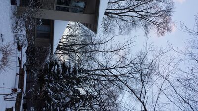 20160210_175024.jpg