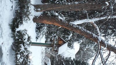 20160210_175320.jpg