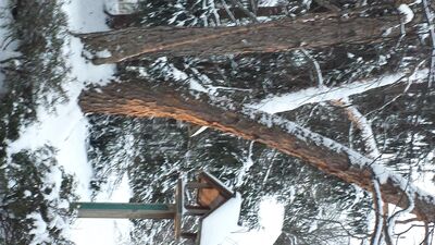 20160210_175411.jpg