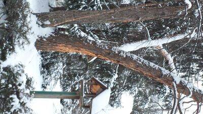 20160210_175433.jpg