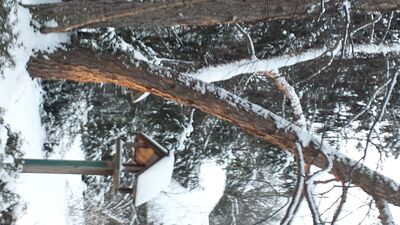 20160210_175458.jpg