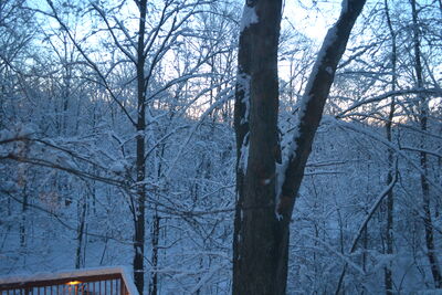 DSC_0242.JPG