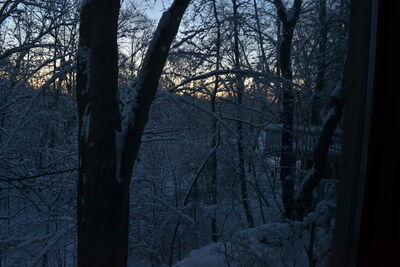 DSC_0249.JPG