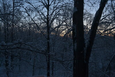 DSC_0250.JPG