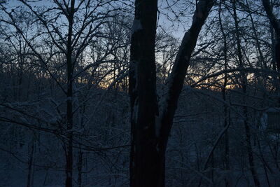 DSC_0251.JPG