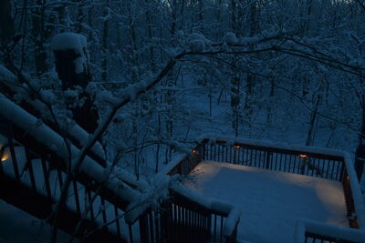 DSC_0253.JPG