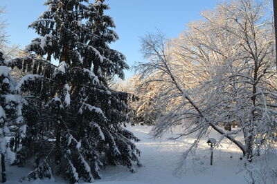 DSC_0254.JPG