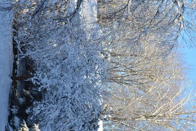 DSC_0255.JPG