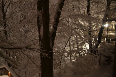 DSC_0264.JPG