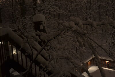 DSC_0266.JPG