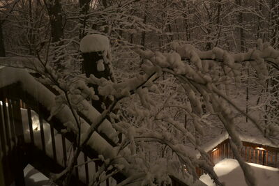 DSC_0267.JPG