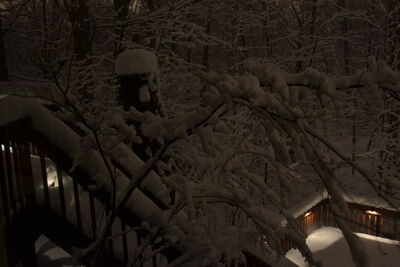 DSC_0268.JPG