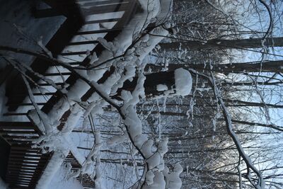 DSC_0278.JPG